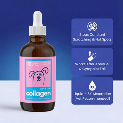 Collagen Drops - Vet-Trusted Skin, Coat & Joint Support