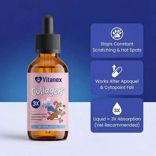 Collagen Drops - Advanced Skin, Coat & Joint Support
