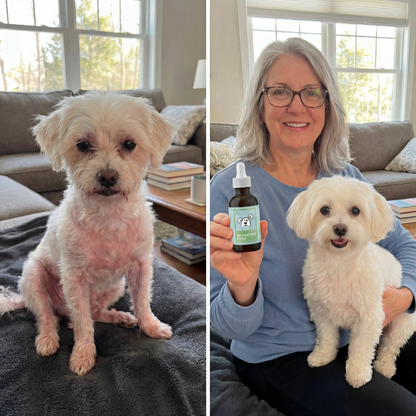 Collagen Drops - Advanced Skin, Coat & Joint Support