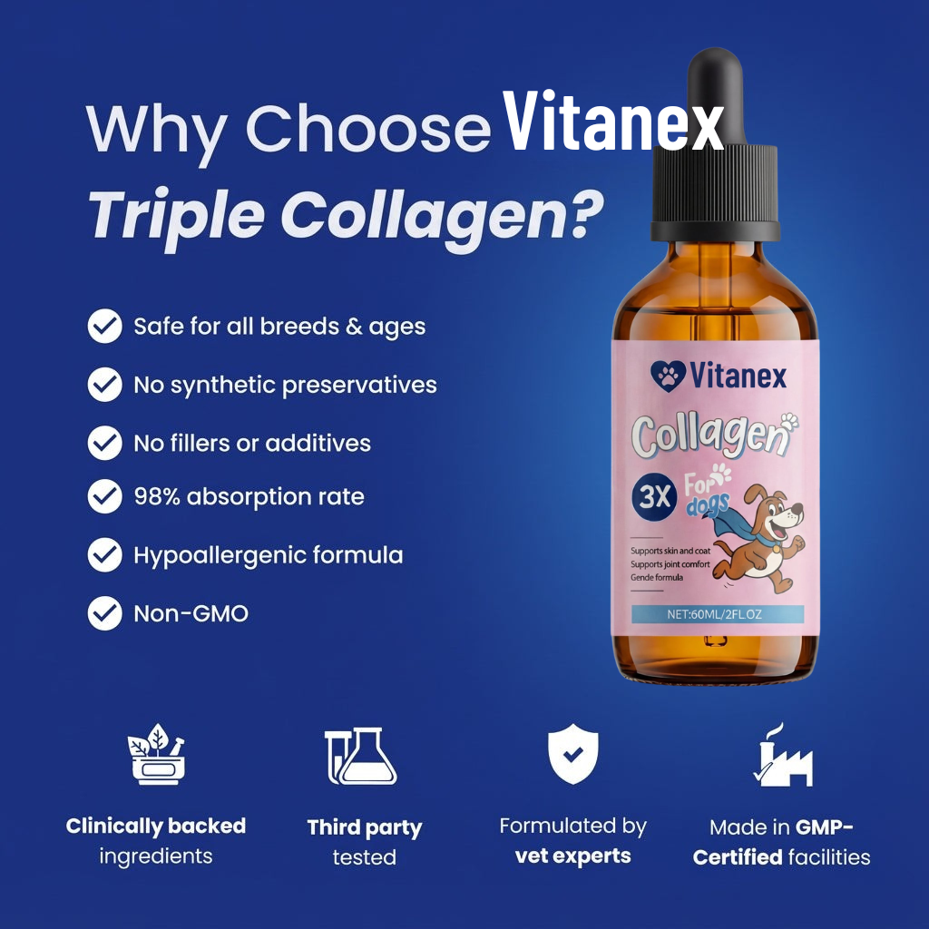 Collagen Drops - Advanced Skin, Coat & Joint Support