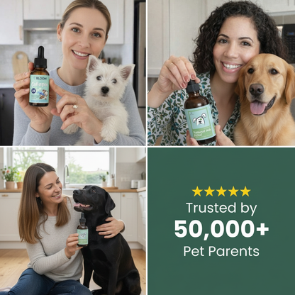 Collagen Drops - Advanced Skin, Coat & Joint Support