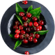 Tart Cherry Extract