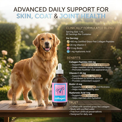 Collagen Drops - Vet-Trusted Skin, Coat & Joint Support