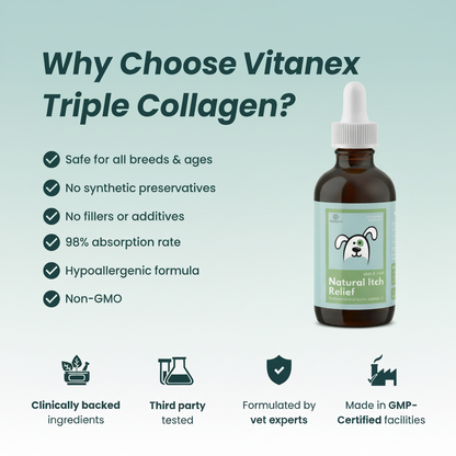 Collagen Drops - Advanced Skin, Coat & Joint Support
