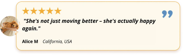 Customer testimonial