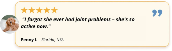 Customer testimonial